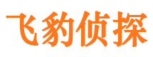 海伦市婚外情调查